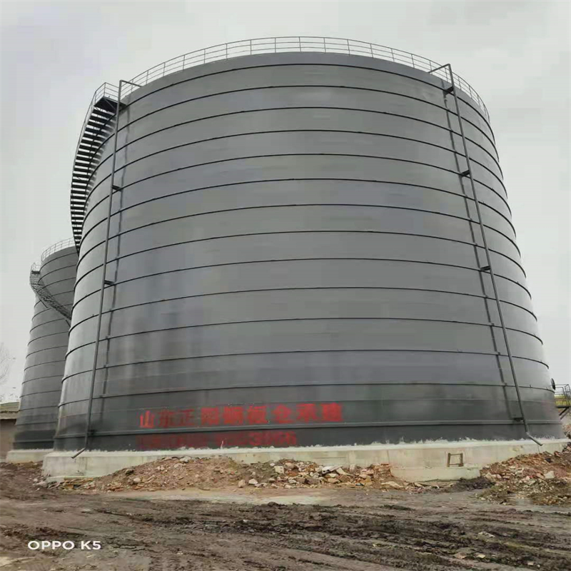 徐汇3万吨大型钢板库