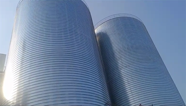 徐汇2座混凝土高架卷板仓